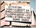 attention_au_chien.jpg