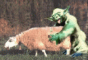 rire78.jpg